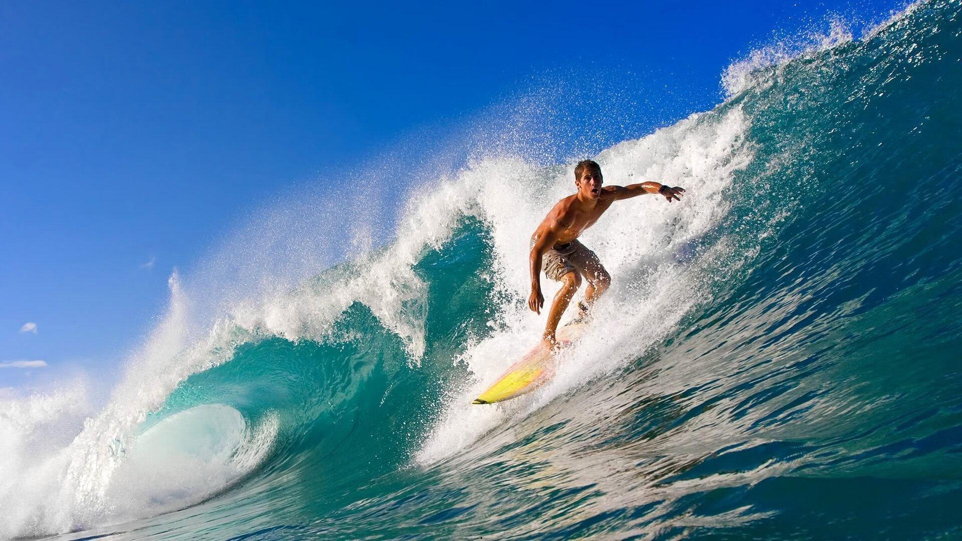 中东媒体盛赞东方之星 樊振东技术革命引领乒坛新纪元